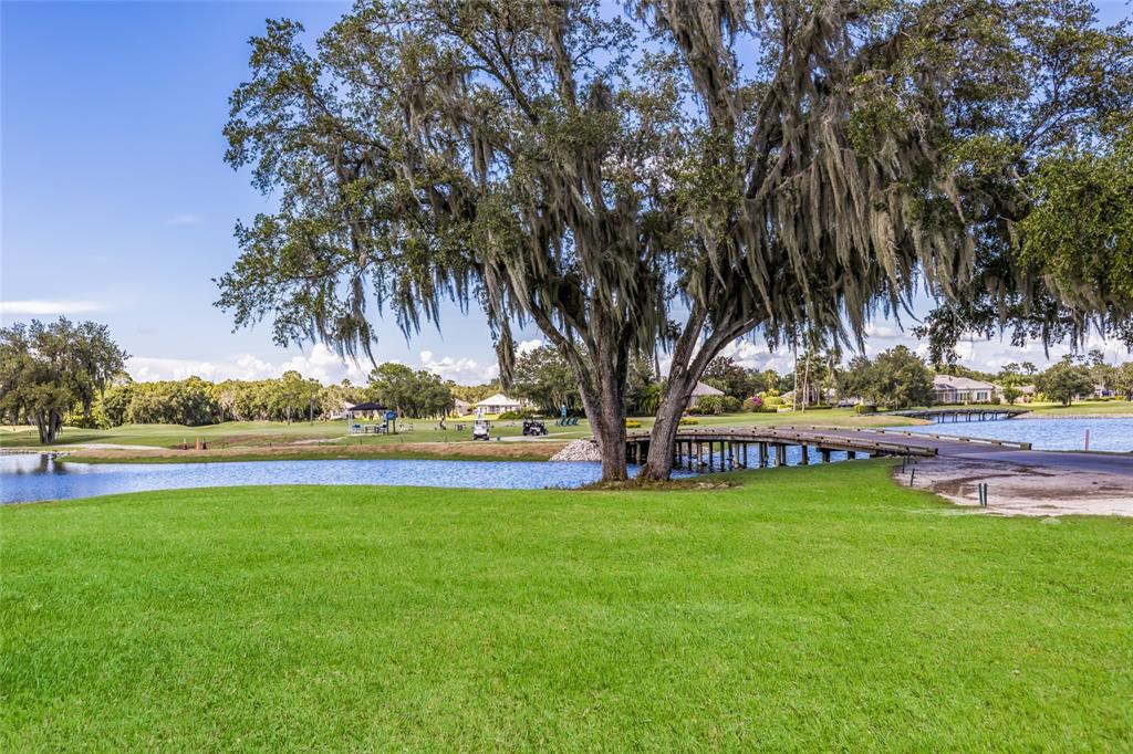 5011 Tobermory Way Bradenton, FL 34211 - Photo 69 of 77 a view of a swimming pool and trees in the background