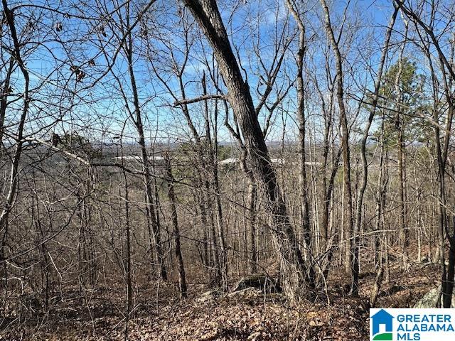 1065 Flynt Ridge Road Leeds, AL 35094 - Photo 3 of 9