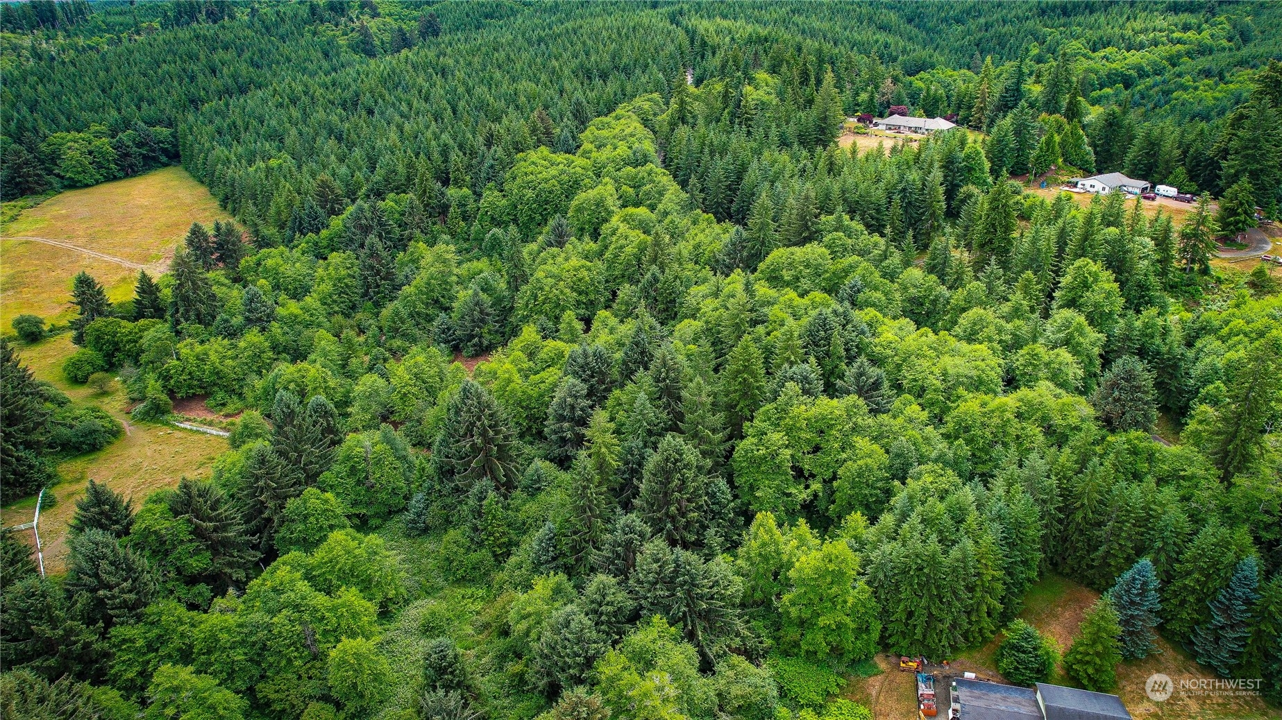 1-xx Rue Creek Road, Unit A1 Raymond, WA 98577 - Photo 3 of 9 Gallery Image 3