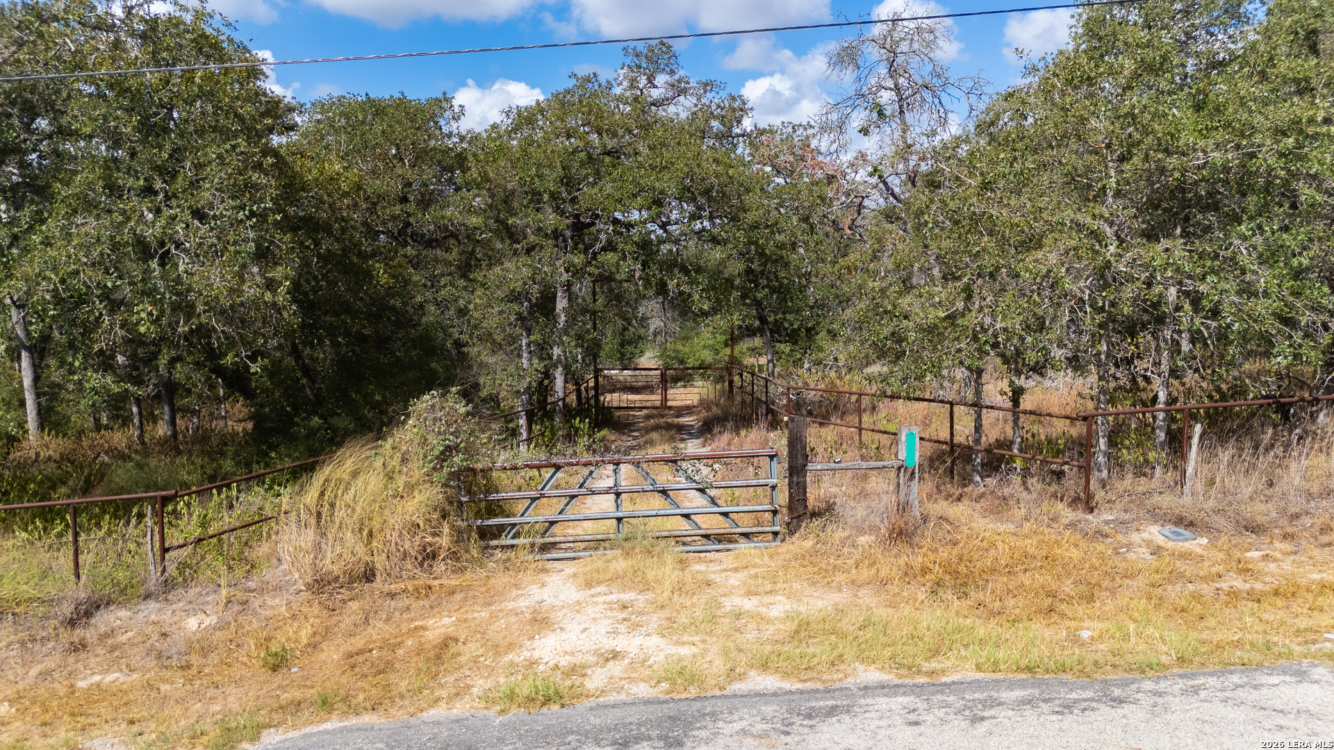 796 Blue Stem Road Seguin, TX 78155 - Photo 1 of 10 Gallery Image 1