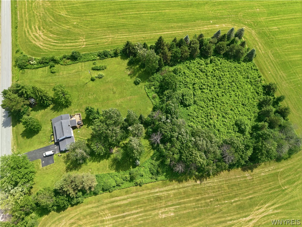 7143 Mt Monroe Road New Hudson, NY 14727 - Photo 5 of 50