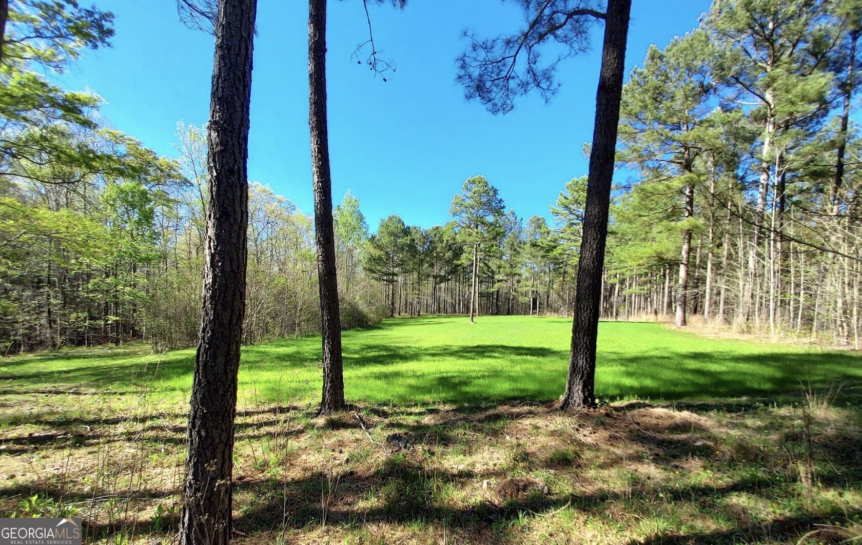 2285 Cherokee Road Comer, GA 30629 - Photo 17 of 23 Gallery Image 17