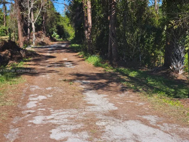 a view of a park with large trees