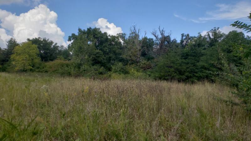 9 70ac Dunbar Road Crossville, TN 38572 - Photo 1 of 28 Gallery Image 1