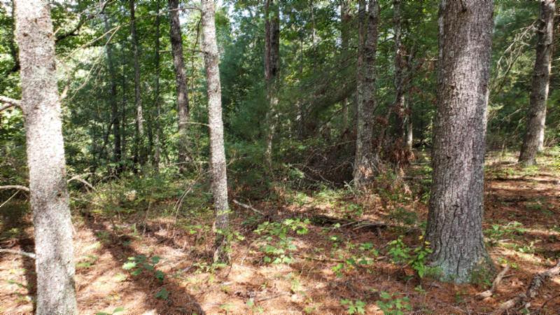 9 70ac Dunbar Road Crossville, TN 38572 - Photo 11 of 28 Gallery Image 11