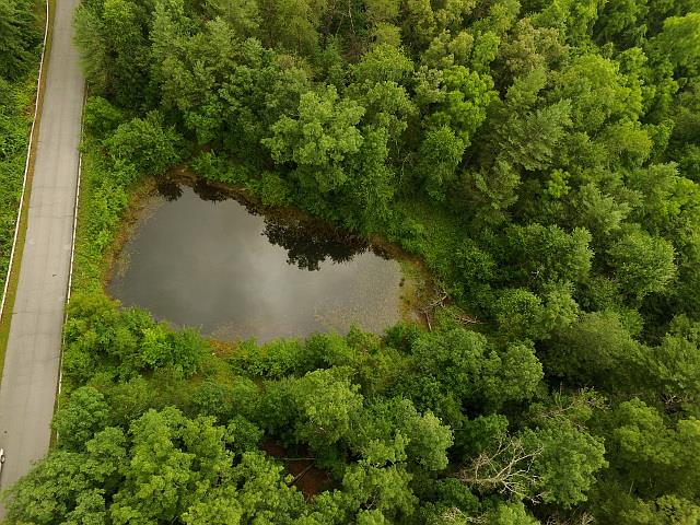 9 70ac Dunbar Road Crossville, TN 38572 - Photo 14 of 28 Gallery Image 14