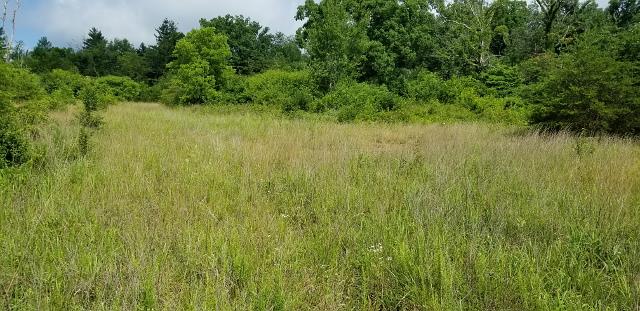 9 70ac Dunbar Road Crossville, TN 38572 - Photo 25 of 28 Gallery Image 25