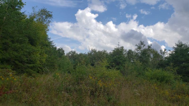 9 70ac Dunbar Road Crossville, TN 38572 - Photo 6 of 28 Gallery Image 6