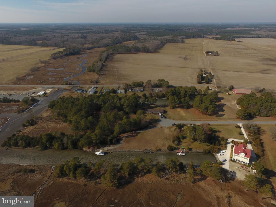 Tanhouse Road Snow Hill, MD 21863 - Photo 5 of 16 Gallery Image 5