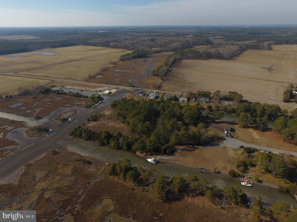 Tanhouse Road Snow Hill, MD 21863 - Photo 6 of 16 Gallery Image 6