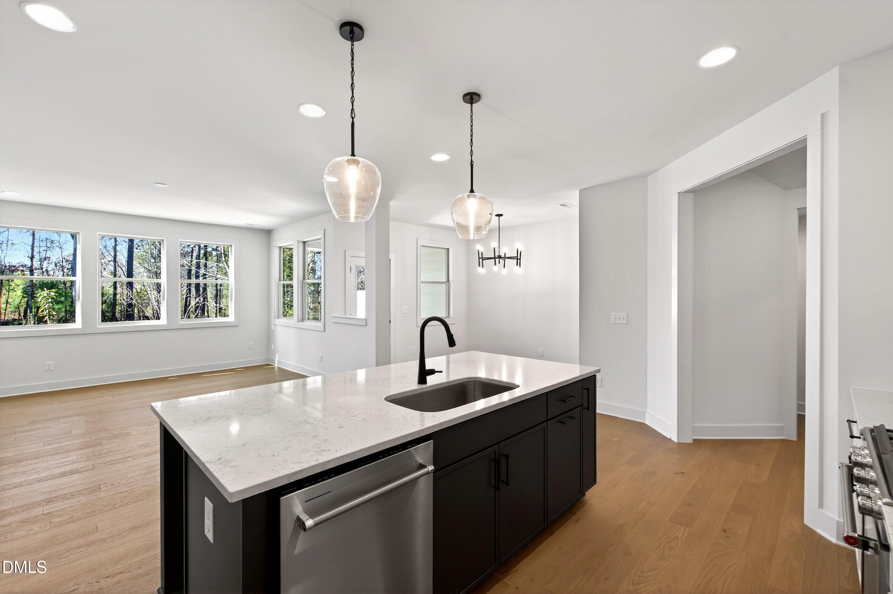 982 Double Helix Road Apex, NC 27523 - Photo 12 of 50 982 Helix (14)