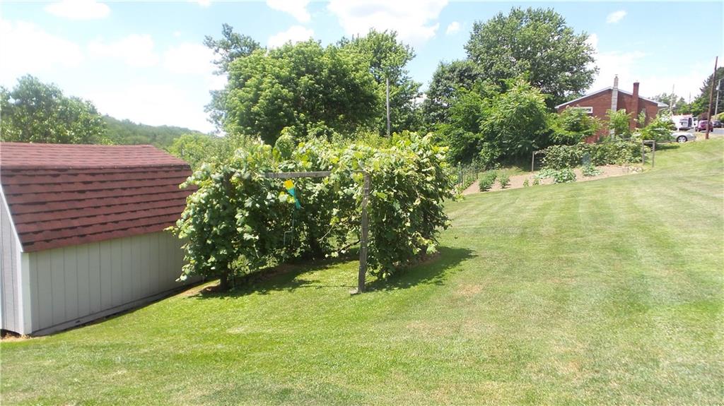 10840 Old Trail Road North Huntingdon, PA 15642 - Photo 17 of 20 Beautiful Yard with grapevines and fresh garden vegetables