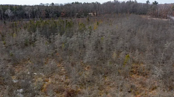 $309,000 | N4221 Oakland Drive, Waupaca, WI 54981