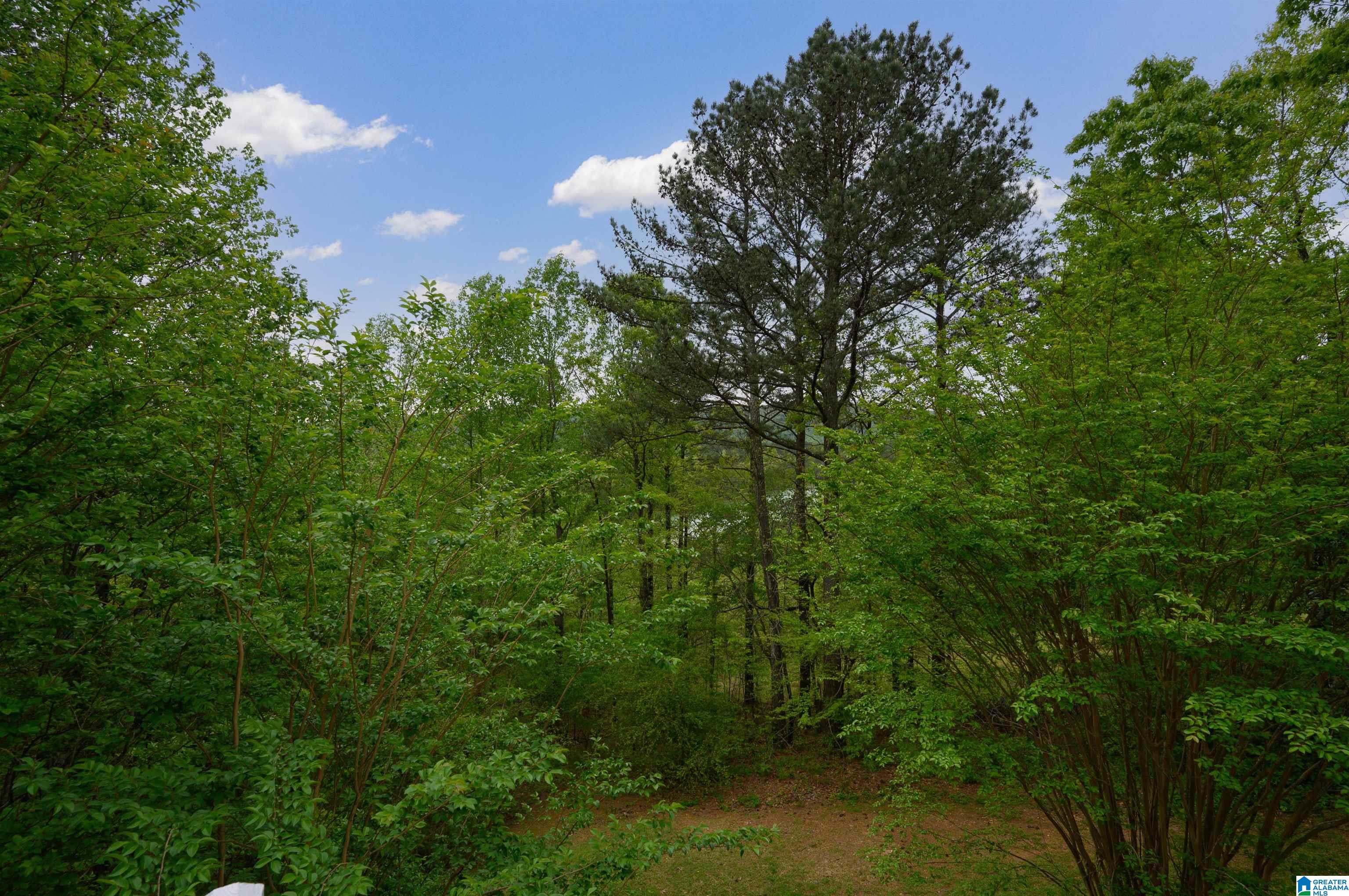 90 Ridgewood Lane Odenville, AL 35120 - Photo 53 of 65