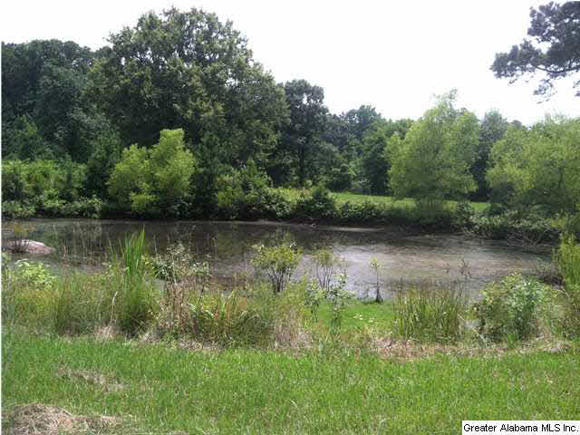 Browning Road, Unit 78 Odenville, AL 35120 - Photo 9 of 18