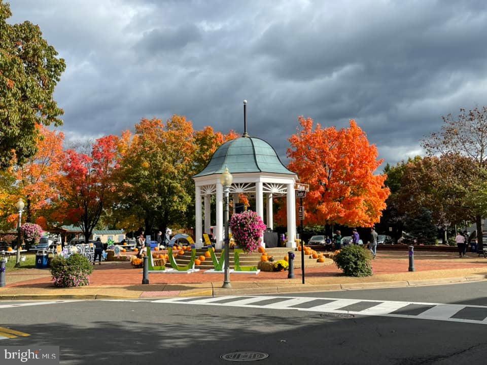 Lot 9 Buck Mountain Road Bentonville, VA 22610 - Photo 12 of 31