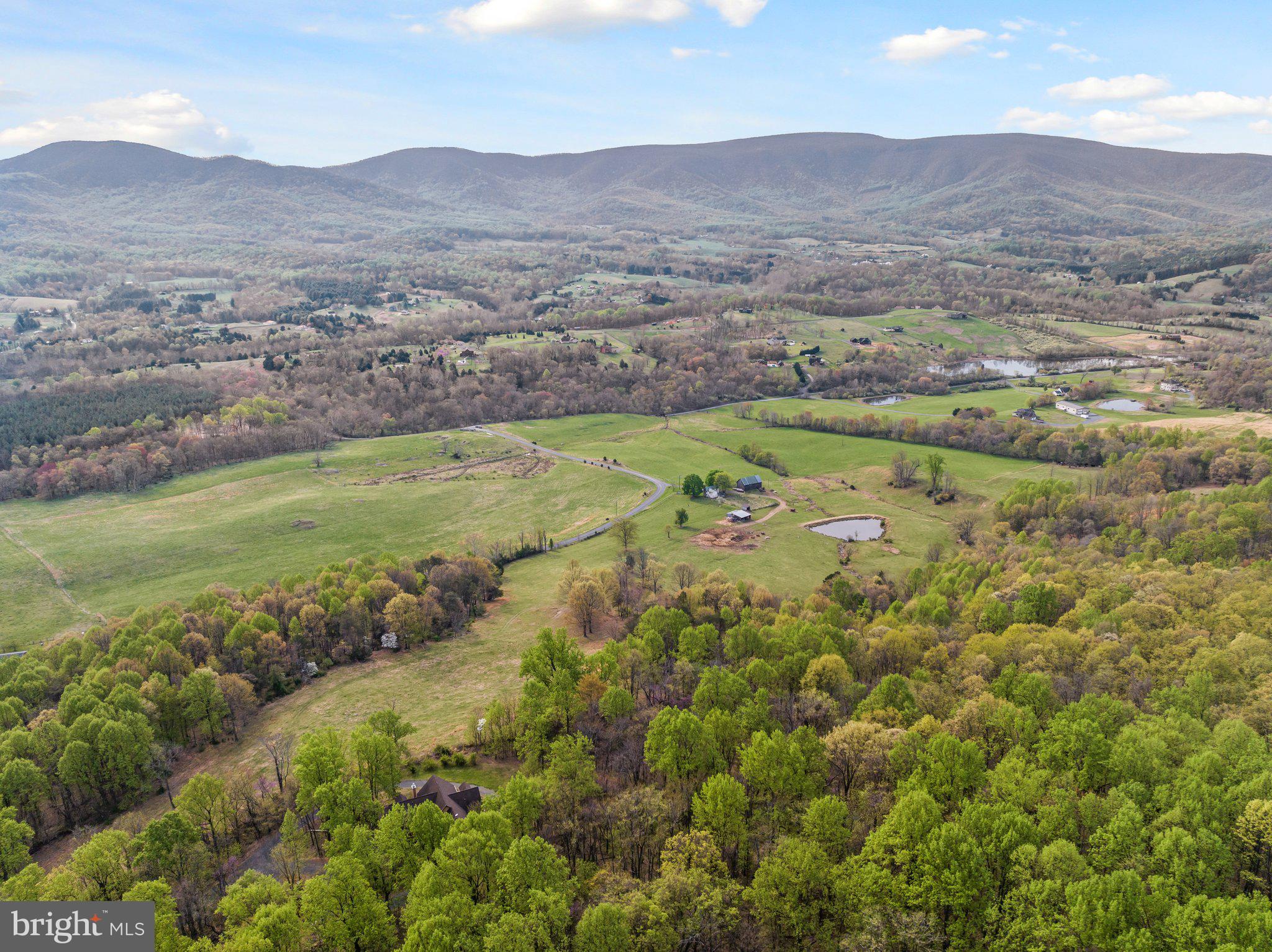 Lot 9 Buck Mountain Road Bentonville, VA 22610 - Photo 14 of 31