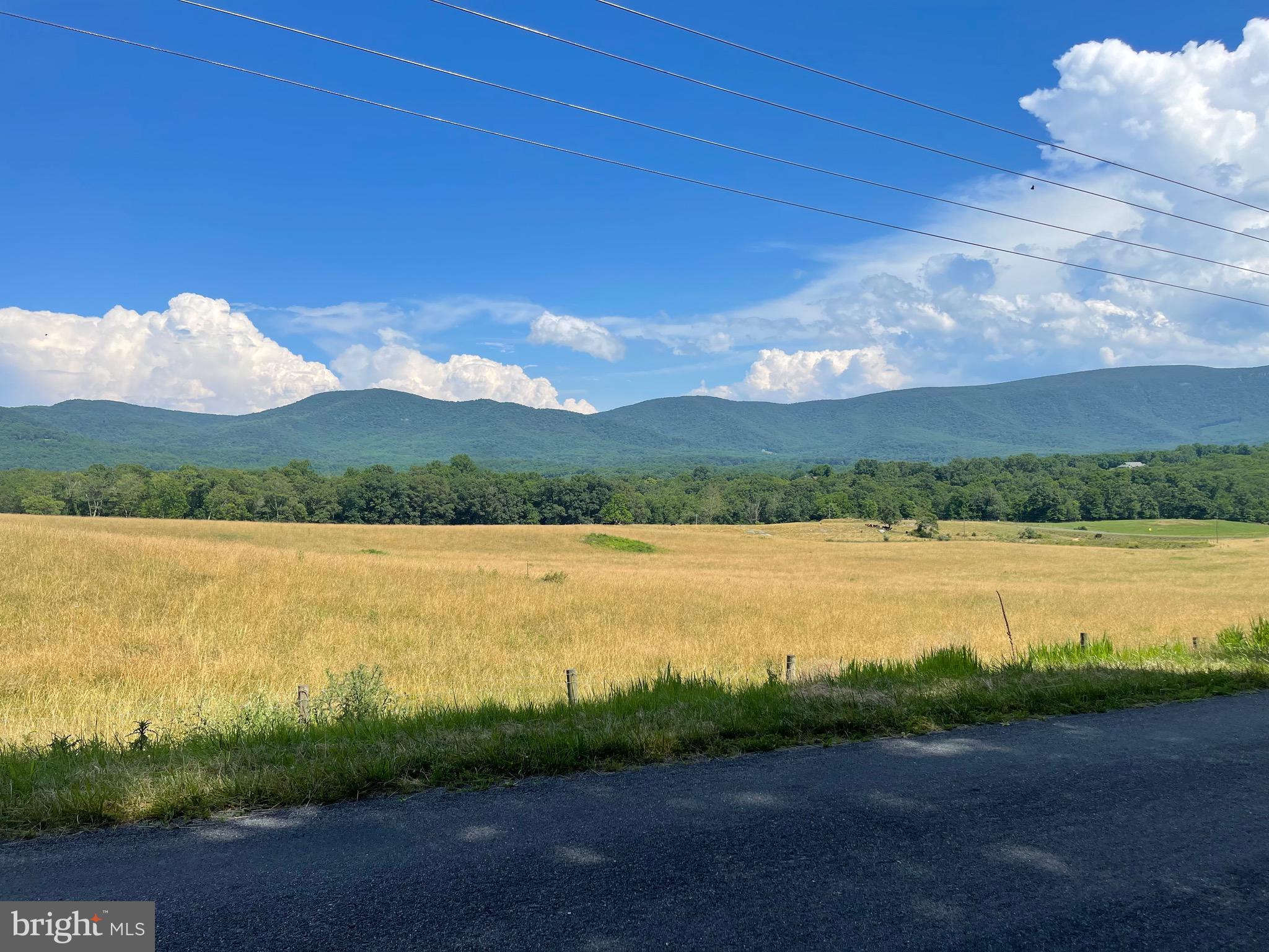 Lot 9 Buck Mountain Road Bentonville, VA 22610 - Photo 20 of 31