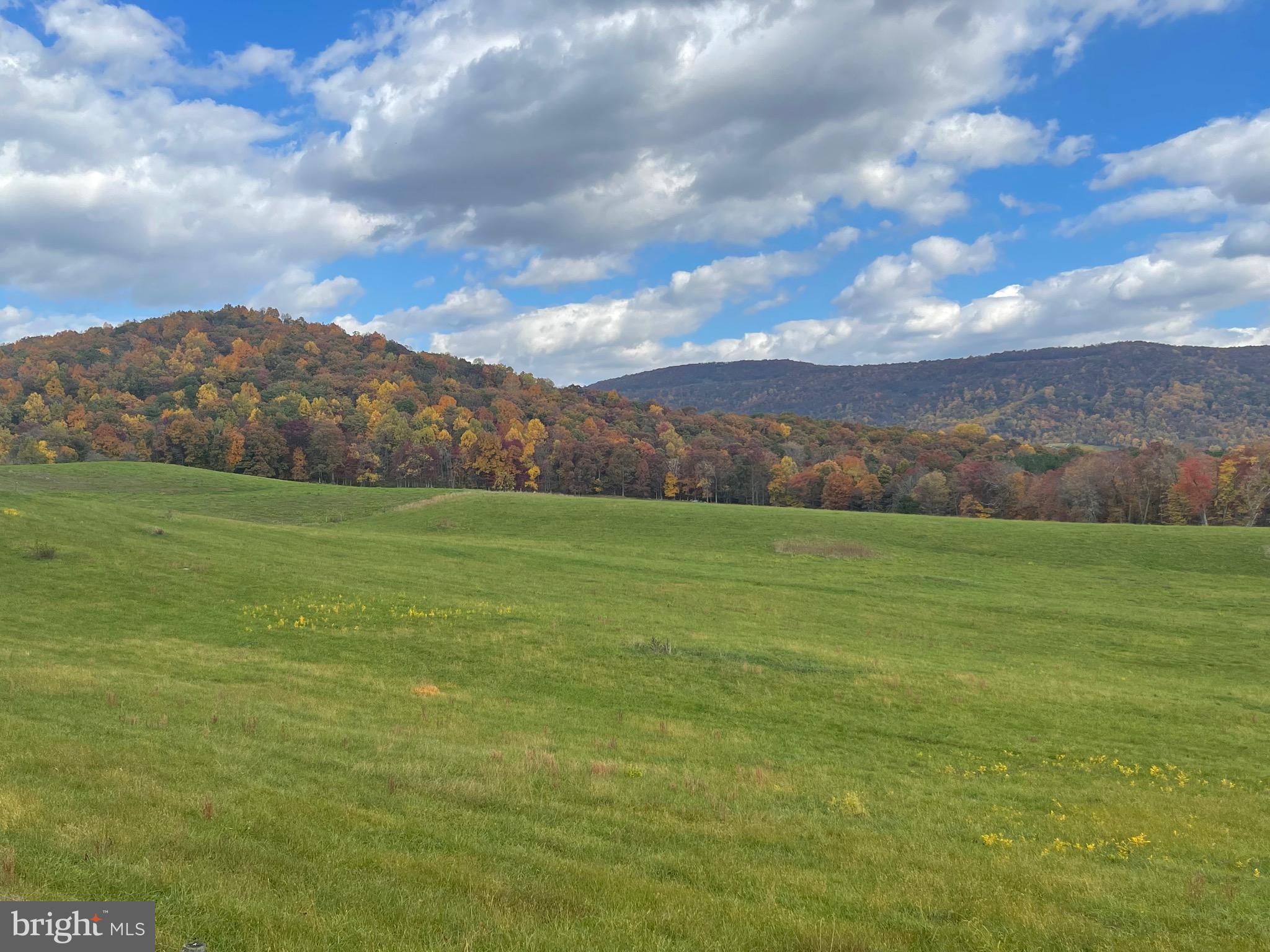 Lot 9 Buck Mountain Road Bentonville, VA 22610 - Photo 21 of 31
