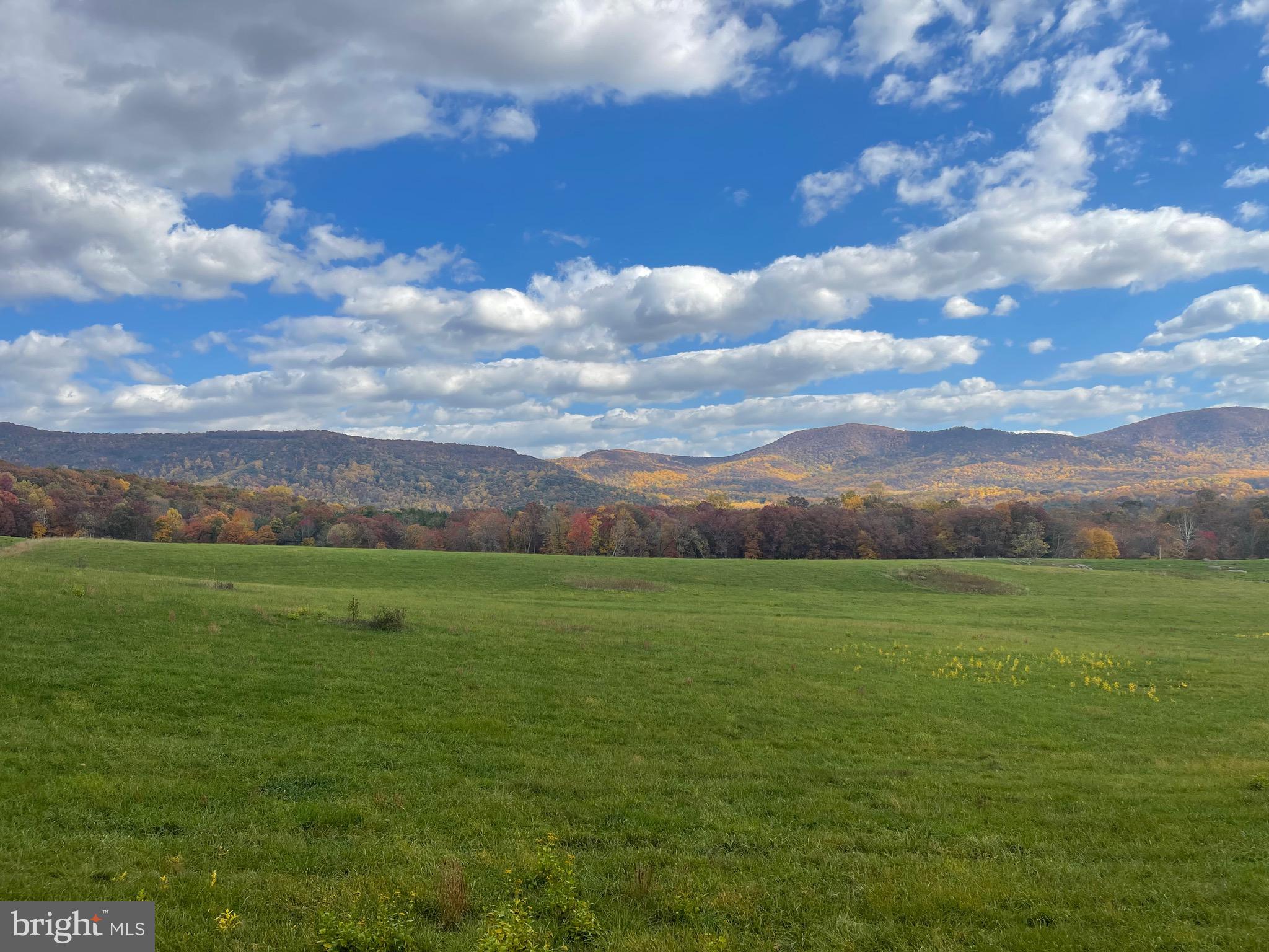 Lot 9 Buck Mountain Road Bentonville, VA 22610 - Photo 22 of 31