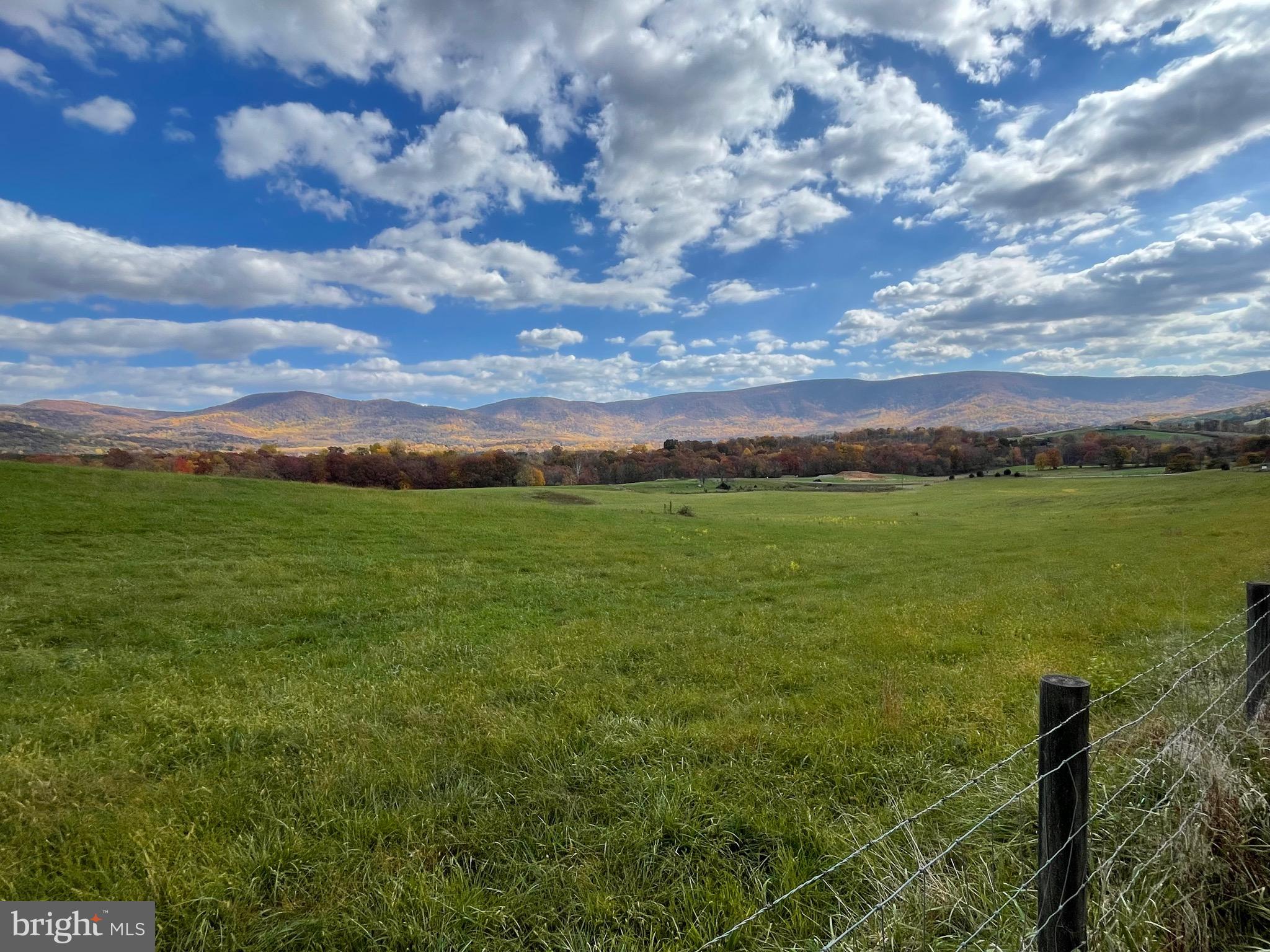 Lot 9 Buck Mountain Road Bentonville, VA 22610 - Photo 23 of 31