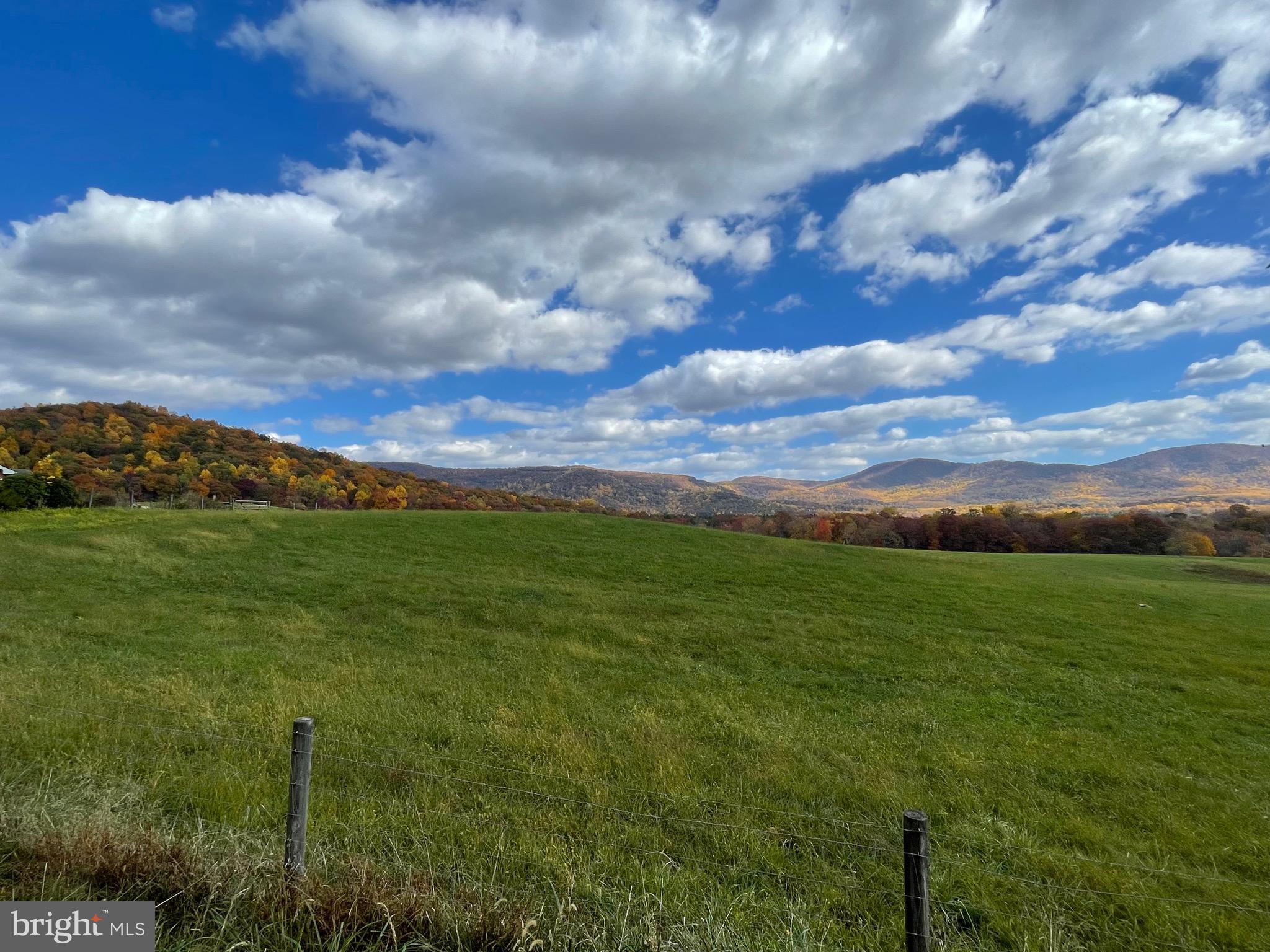 Lot 9 Buck Mountain Road Bentonville, VA 22610 - Photo 24 of 31
