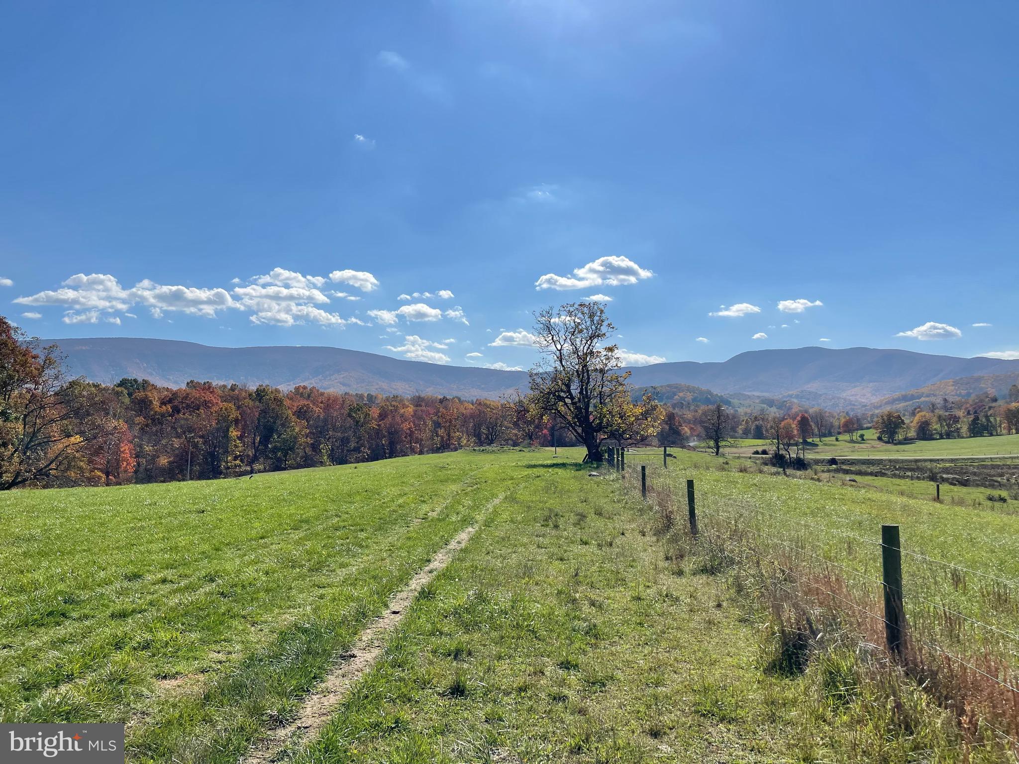 Lot 9 Buck Mountain Road Bentonville, VA 22610 - Photo 26 of 31