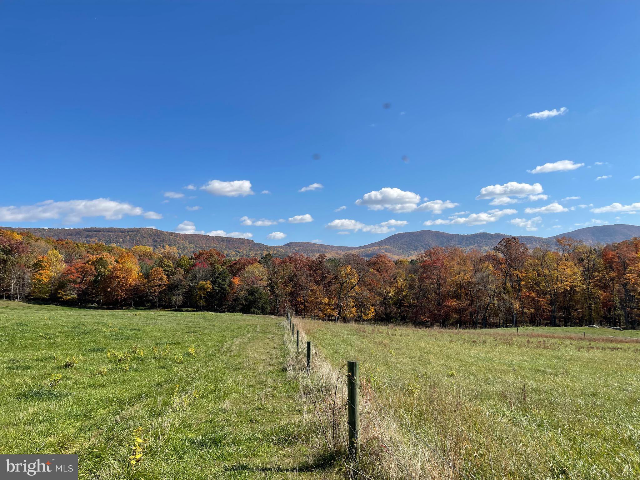 Lot 9 Buck Mountain Road Bentonville, VA 22610 - Photo 28 of 31