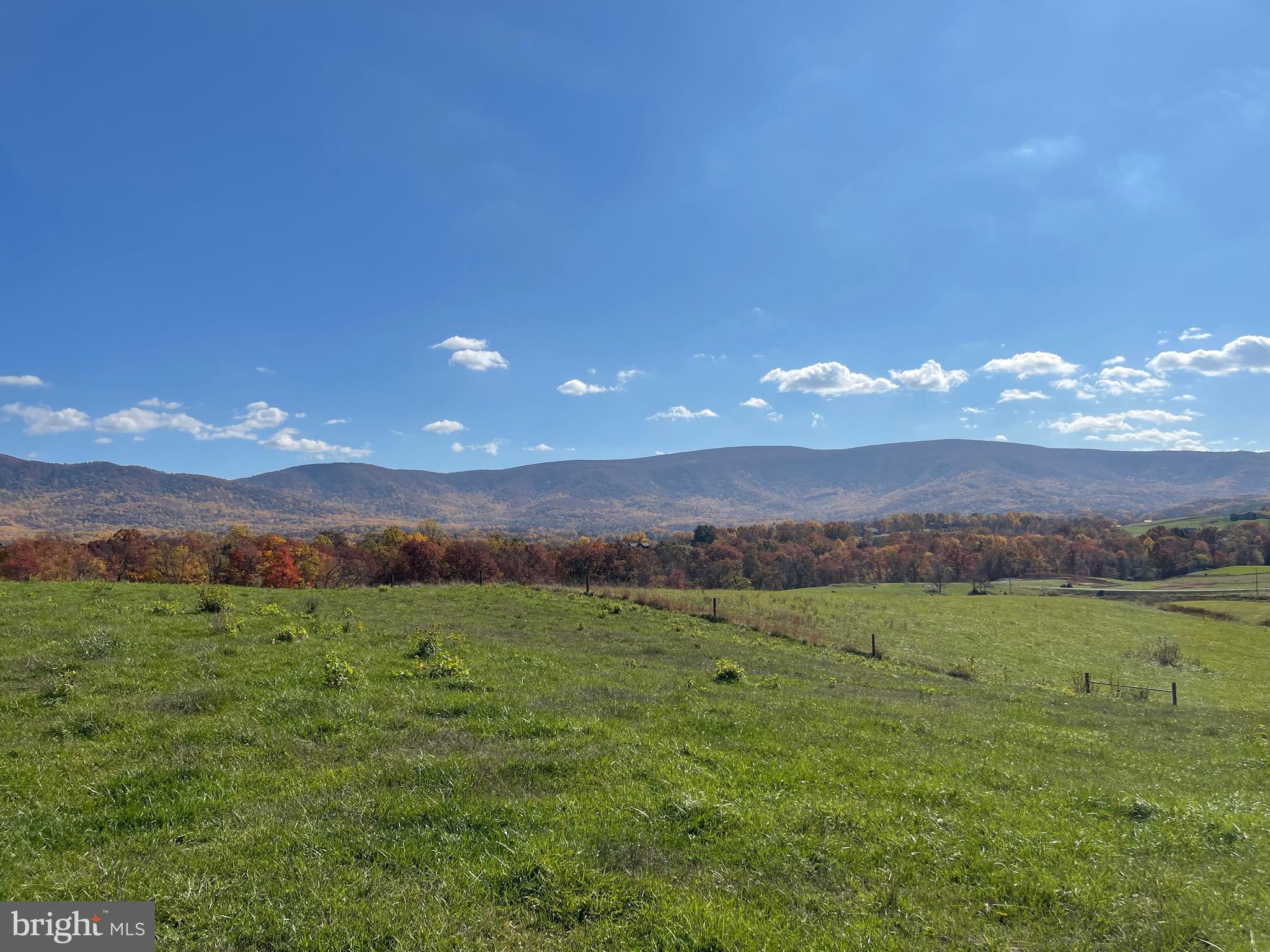 Lot 9 Buck Mountain Road Bentonville, VA 22610 - Photo 29 of 31