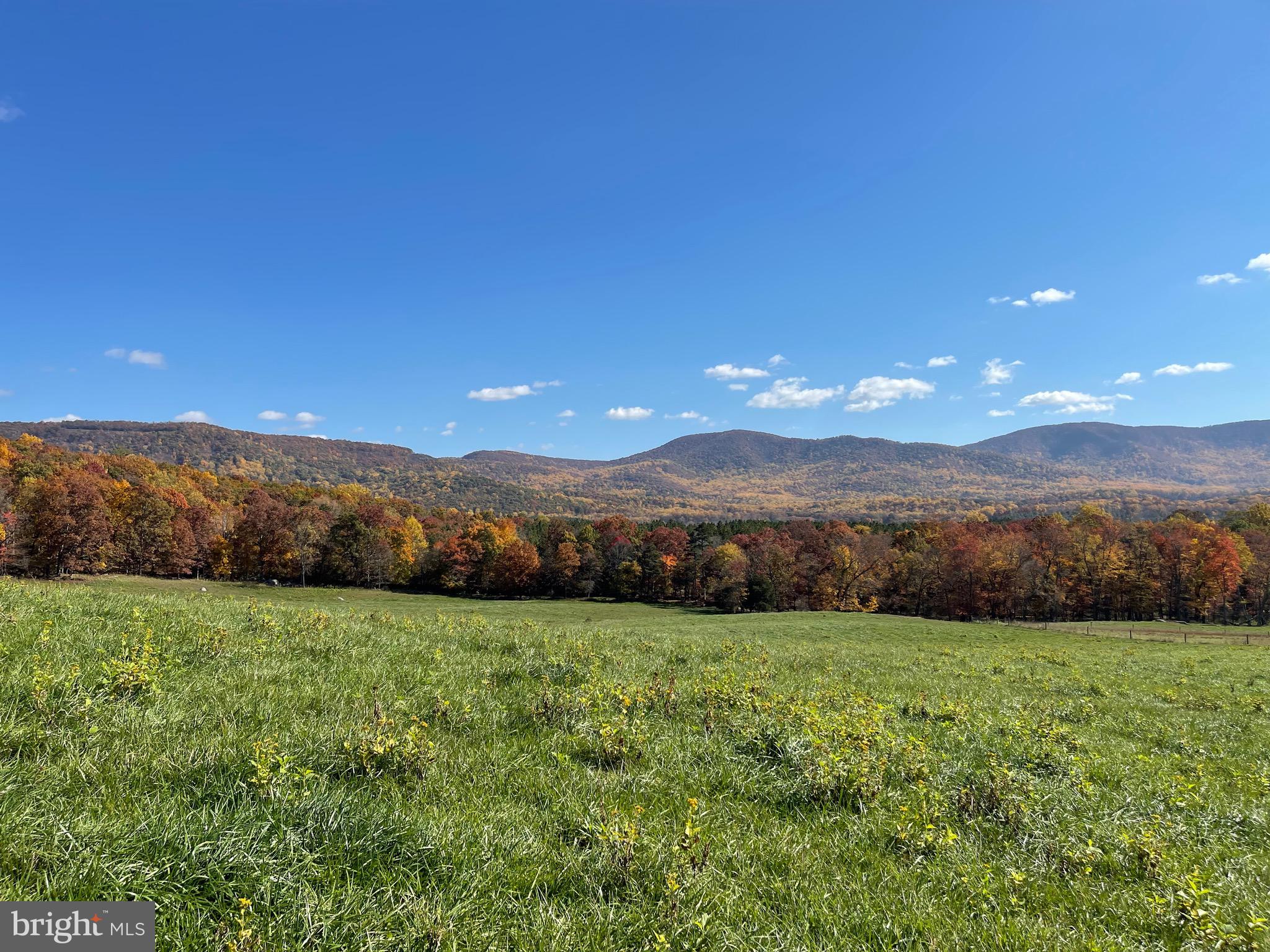 Lot 9 Buck Mountain Road Bentonville, VA 22610 - Photo 30 of 31