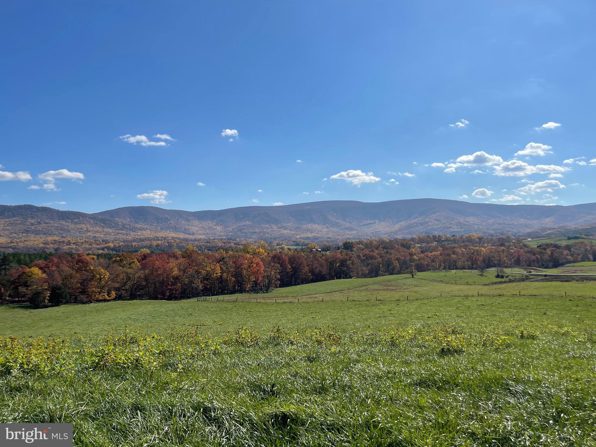 Lot 9 Buck Mountain Road Bentonville, VA 22610 - Photo 31 of 31