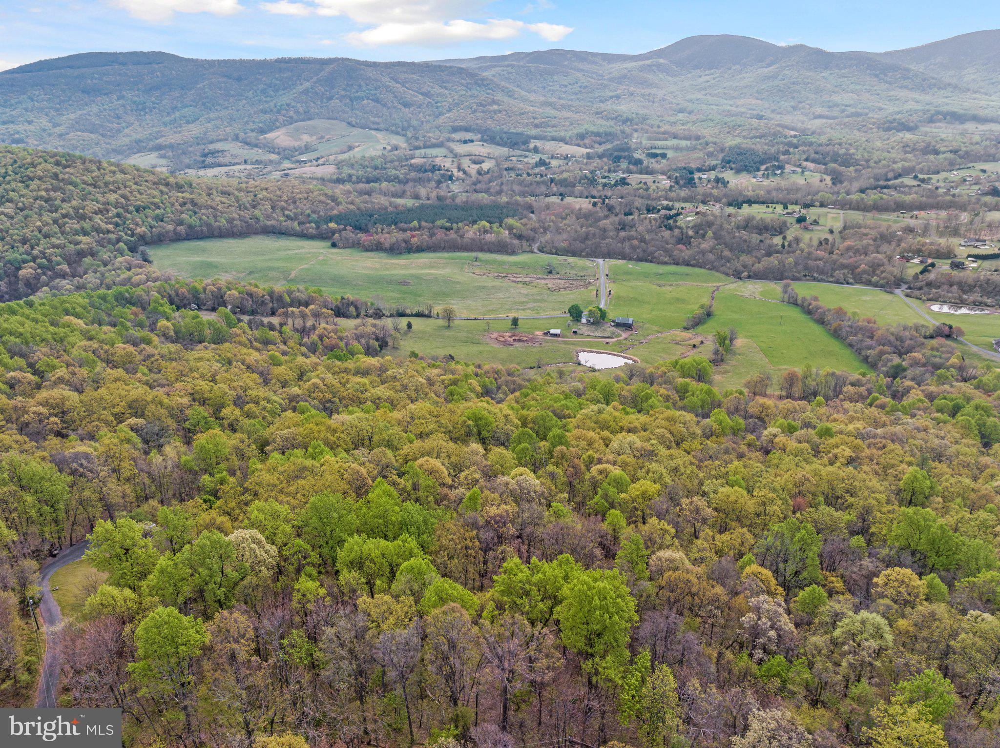 Lot 9 Buck Mountain Road Bentonville, VA 22610 - Photo 7 of 31