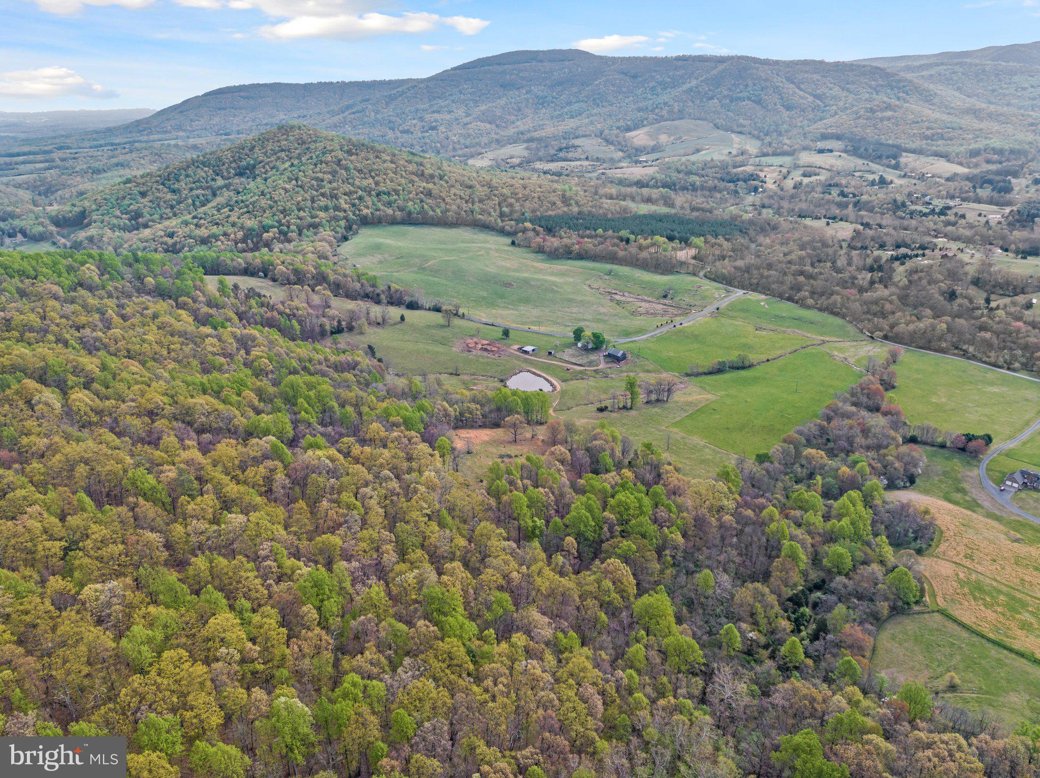 Lot 9 Buck Mountain Road Bentonville, VA 22610 - Photo 8 of 31