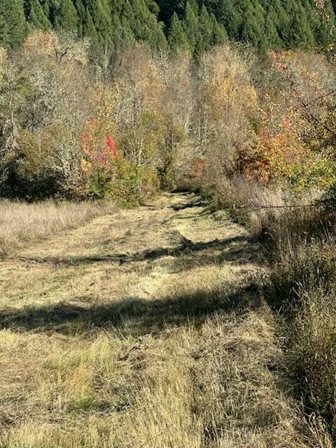 1200 McMullen Creek Road Selma, OR 97538 - Photo 2 of 5 IMG_5666