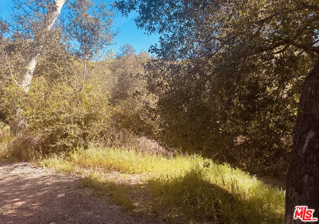 0 Red Rock Road Topanga, CA 90290 - Photo 39 of 53 a view of lake from yard