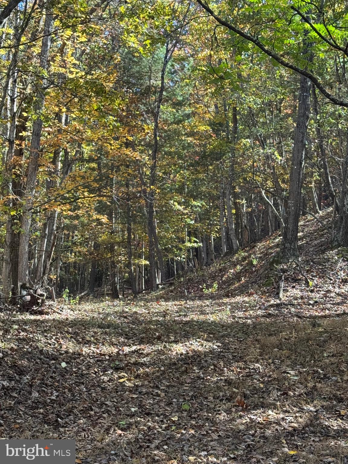 781 Dunmore Road Petersburg, WV 26847 - Photo 24 of 35