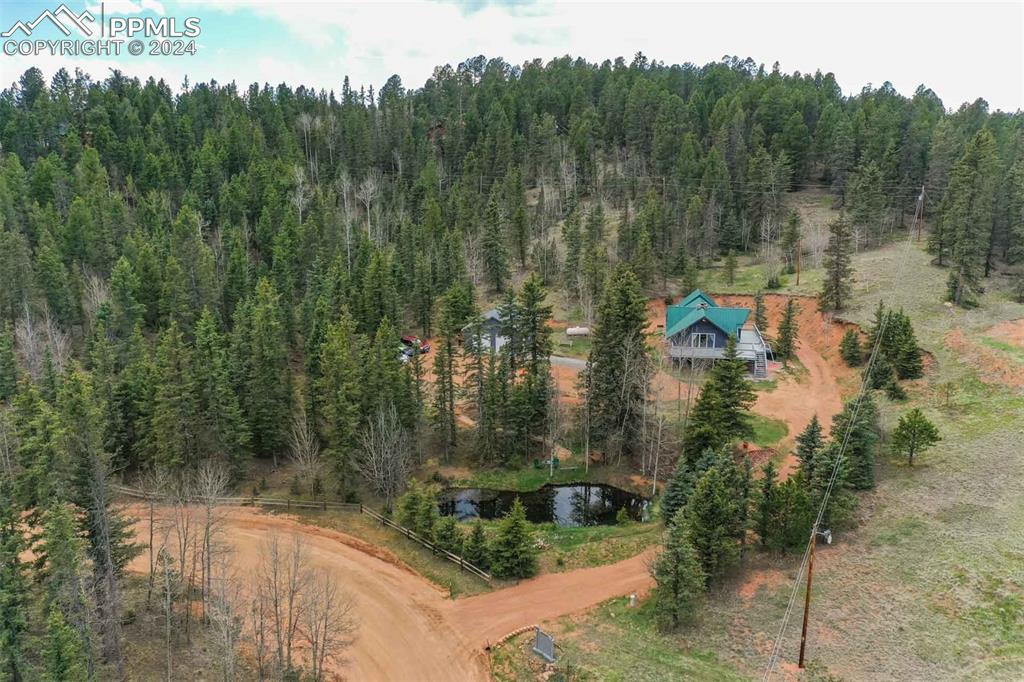 1699 Spring Valley Drive Divide, CO 80814 - Photo 2 of 44 a view of a forest with a lake
