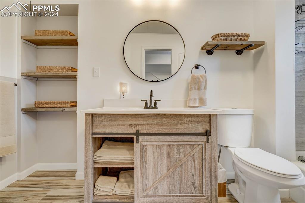 1699 Spring Valley Drive Divide, CO 80814 - Photo 21 of 44 a bathroom with a toilet a sink and mirror