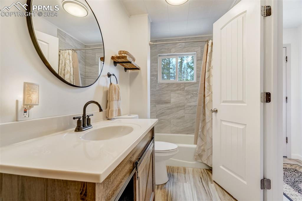 1699 Spring Valley Drive Divide, CO 80814 - Photo 22 of 44 a bathroom with a sink a toilet and a mirror