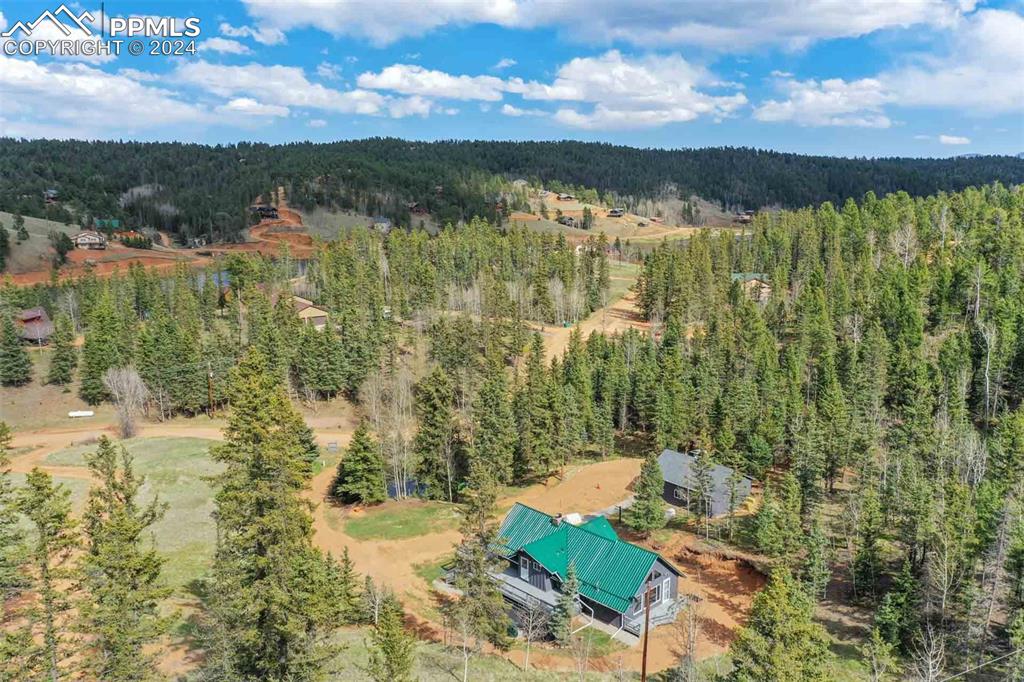 1699 Spring Valley Drive Divide, CO 80814 - Photo 36 of 44 a view of lake view and mountain view