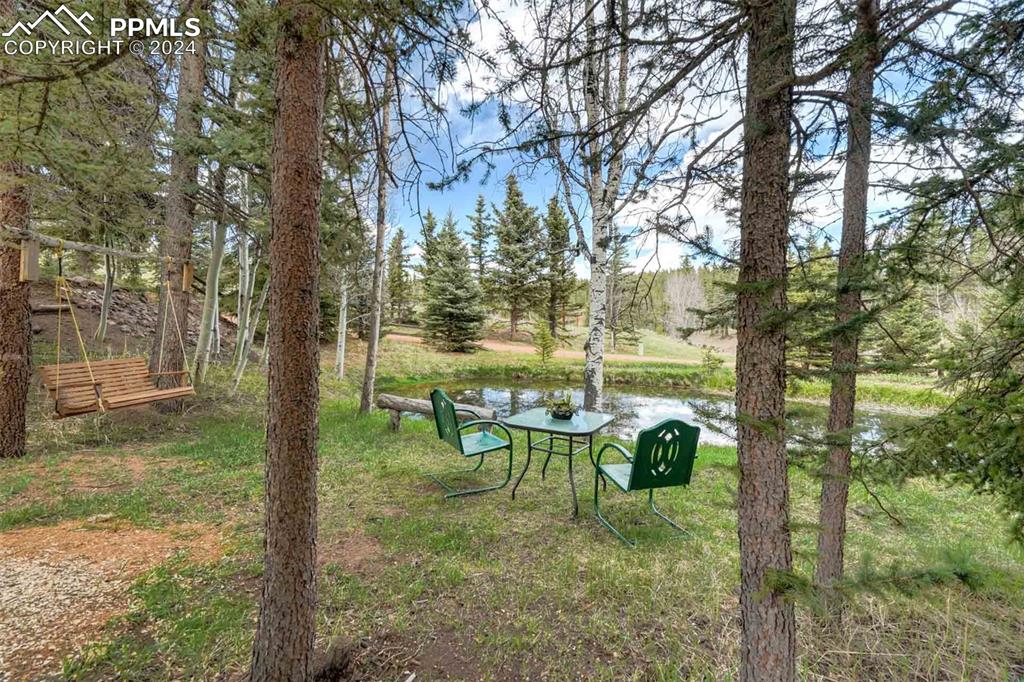 1699 Spring Valley Drive Divide, CO 80814 - Photo 4 of 44 a backyard of a house with table and chairs