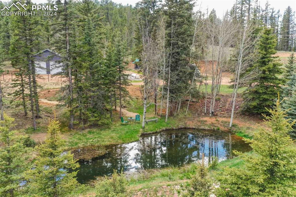 1699 Spring Valley Drive Divide, CO 80814 - Photo 5 of 44 a backyard of a building with trees all around