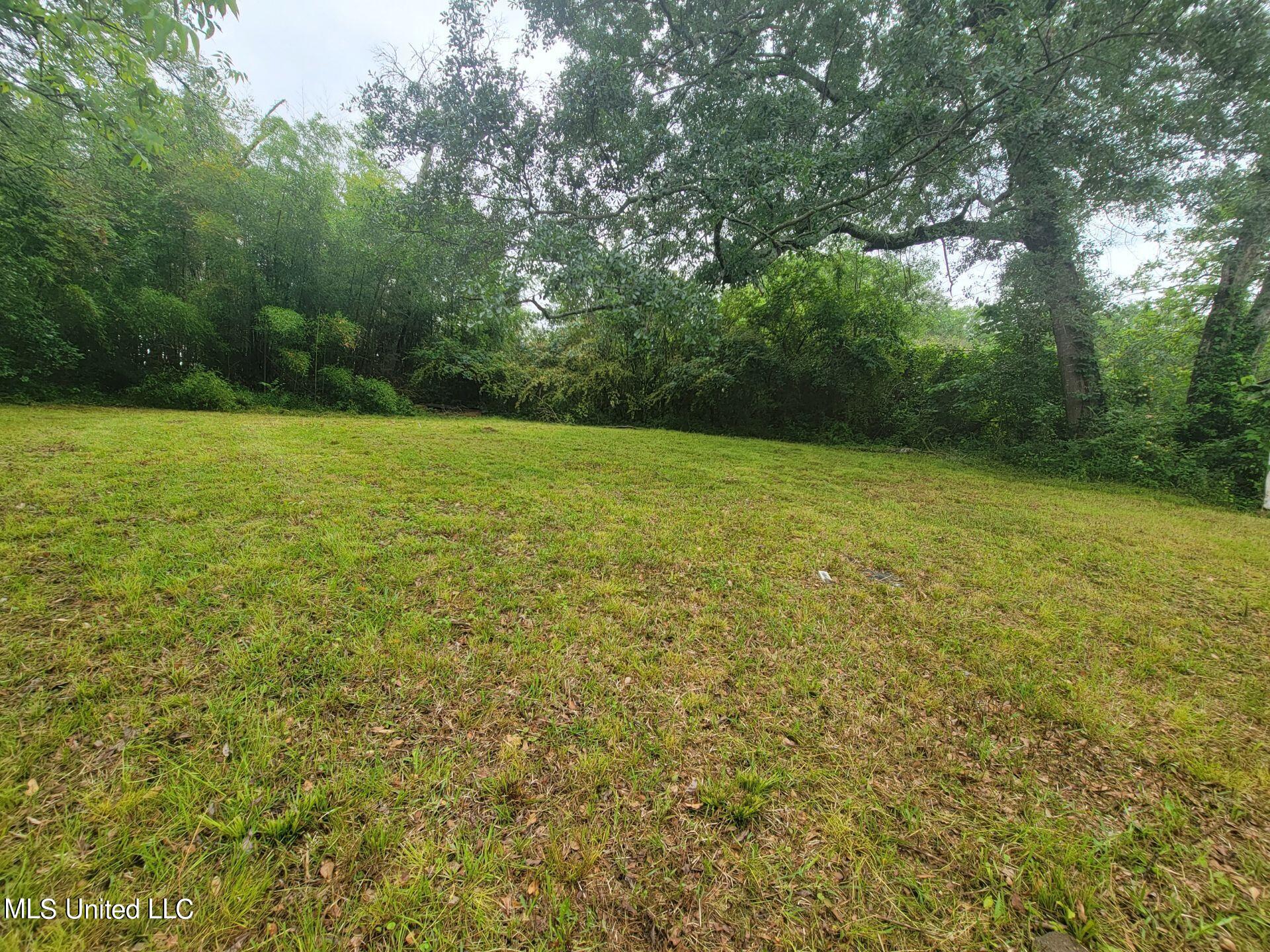 3915 Faulk Boulevard Jackson, MS 39209 - Photo 16 of 16 Image20240619155011