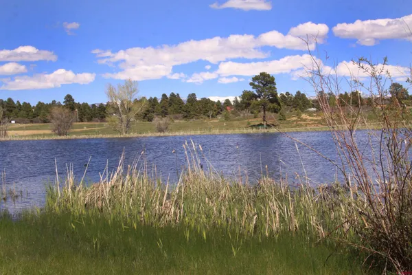 $18,995 | 492 Prospect Boulevard, Pagosa Springs, CO 81147
