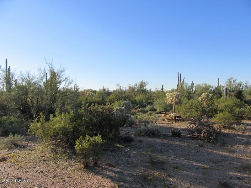 Xx South Davis Ranch Road, Unit 5AC Marana, AZ 85658 - Photo 13 of 14