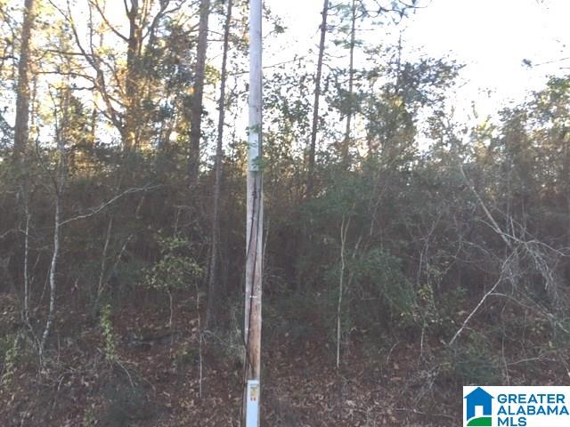 0 Ben Stewart Road Bay Minette, AL 36507 - Photo 1 of 5