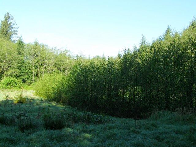 Tl#605 Latimer Road North Tillamook, OR 97141 - Photo 12 of 28 P5021226