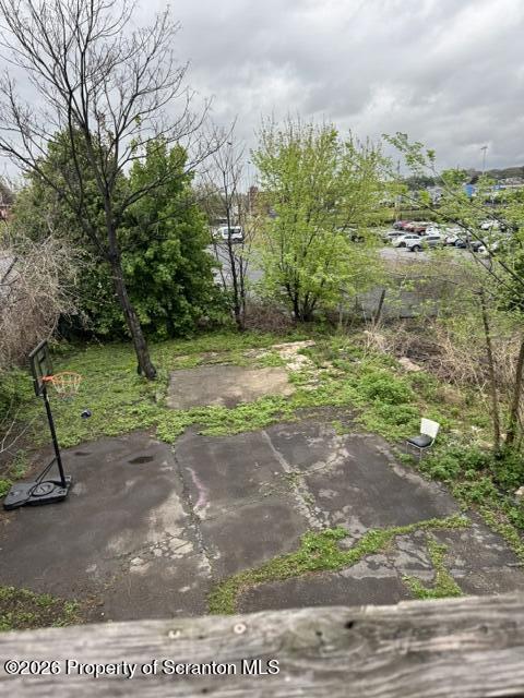 343 Phelps Street Scranton, PA 18509 - Photo 9 of 20 a view of a yard with plants and trees