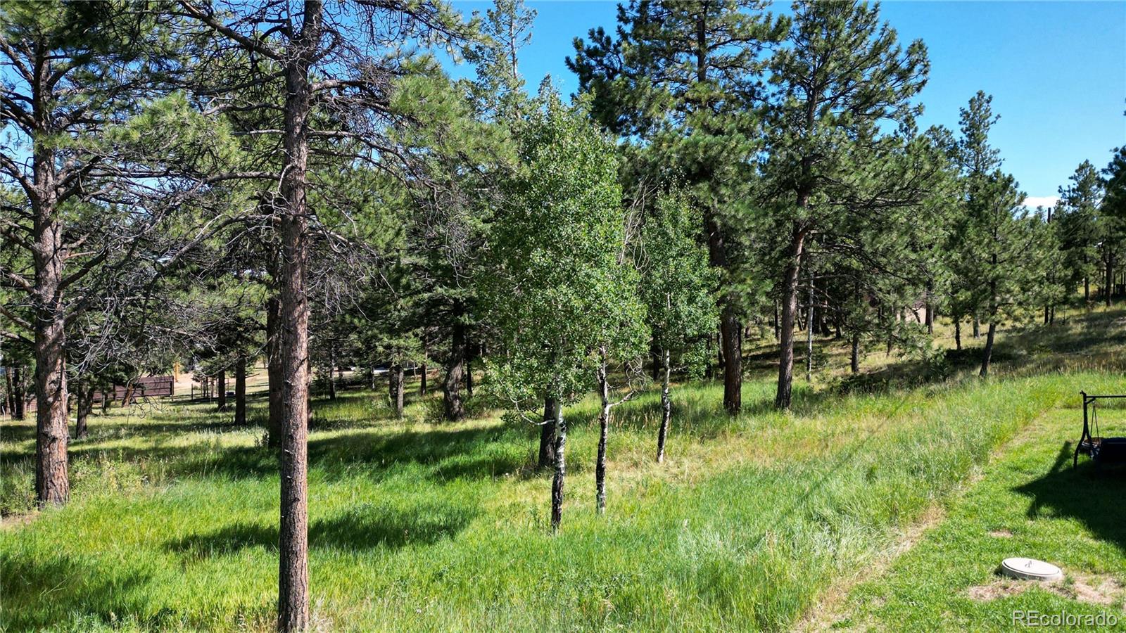 230 Mohawk Trail Pine, CO 80470 - Photo 35 of 39 a view of lake view