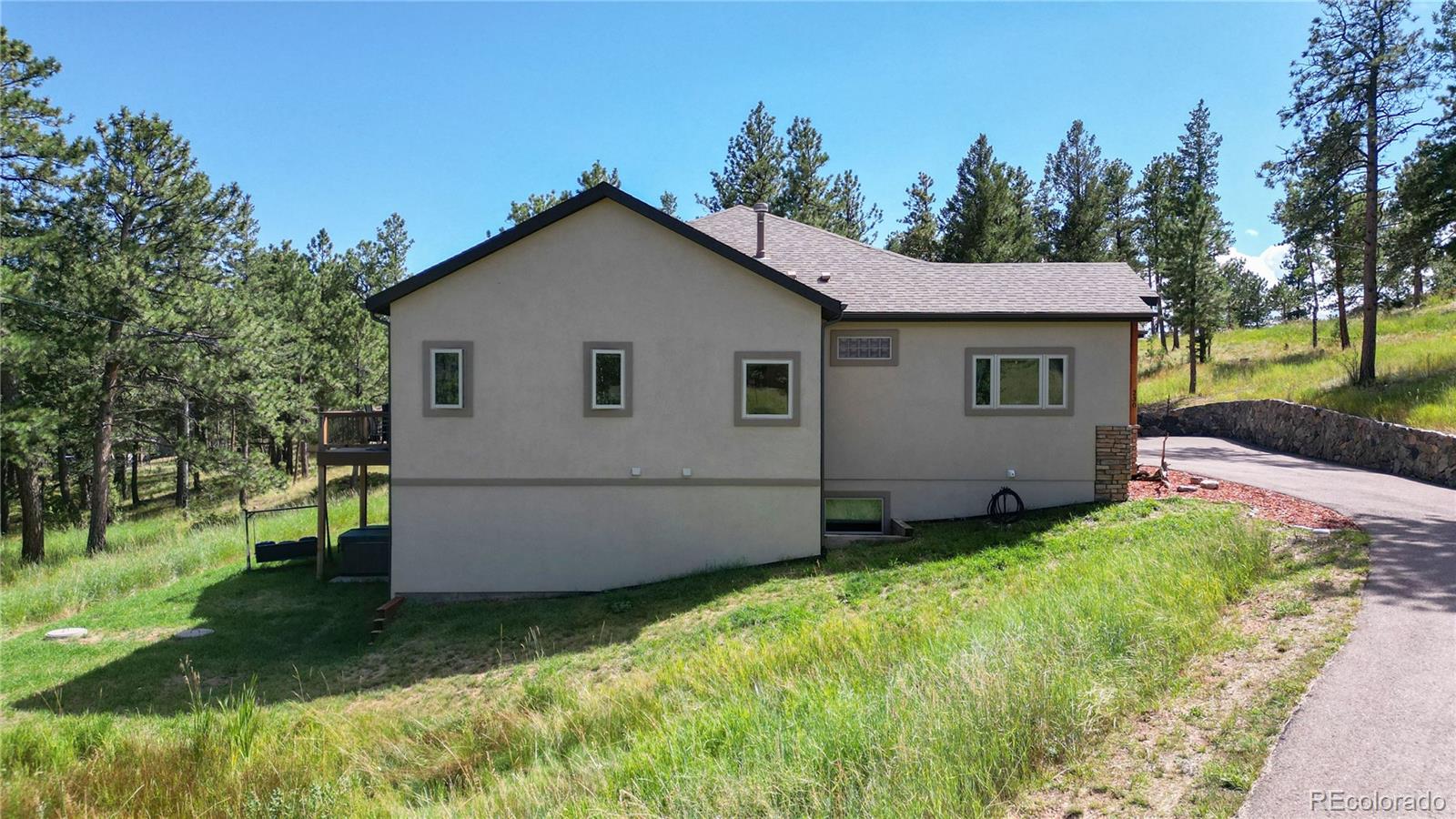 230 Mohawk Trail Pine, CO 80470 - Photo 37 of 39 a view of backyard with potted plants and large tree